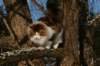 img_3350_small.jpg