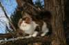 img_3357_small.jpg