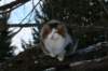img_3366_small.jpg