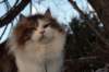 img_3370_small.jpg