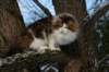 img_3373_small.jpg