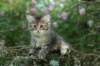 img_4064_small.jpg