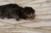 img_9047_small.jpg