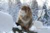 img_9900_small.jpg