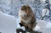 img_9908_small.jpg