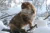 img_9921_small.jpg