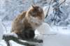 img_9934_small.jpg