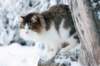 img_9106_small.jpg