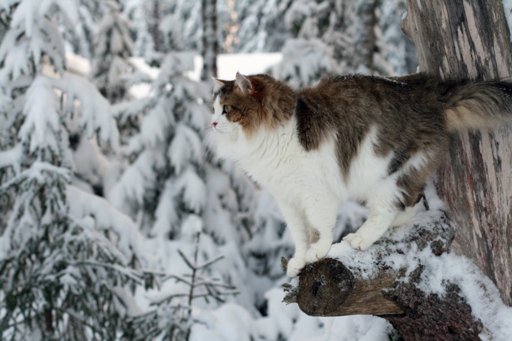 img_9141.jpg