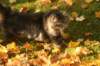 img_2139_small.jpg