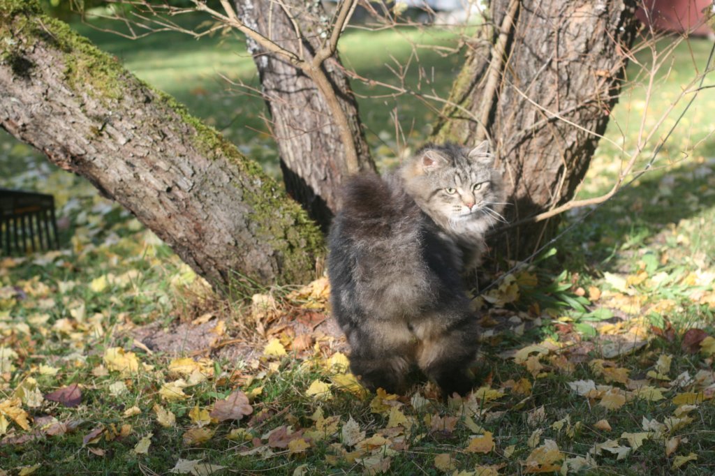 img_2183.jpg