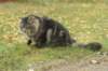 img_2204_small.jpg