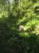 Photo Number 14
