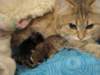 irenemammaandnooaandnaomi31320107_small.jpg