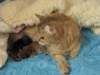 irenemammaandnooaandnaomi31320108_small.jpg