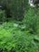 isinsynttrit100716_small.jpg