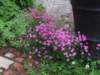 isinsynttrit100720_small.jpg