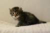 img_8317_small.jpg