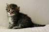 justusimg_8311_small.jpg