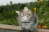 img_6932_small.jpg