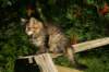 img_7253_small.jpg