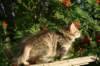 img_7256_small.jpg