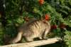 img_7257_small.jpg