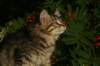 img_7264_small.jpg