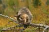 img_8528_small.jpg