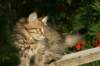 img_7326_small.jpg