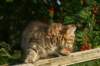 img_7332_small.jpg