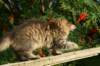 img_7333_small.jpg