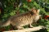 img_7335_small.jpg