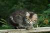 img_5591_small.jpg