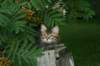 img_5593_small.jpg