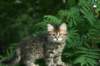 johannainallthepicturesinthisalbum_small.jpg