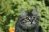 img_6163_small.jpg