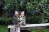img_6258_small.jpg