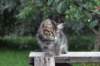 img_6259_small.jpg
