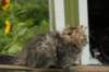 img_7001_small.jpg