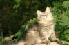 img_7393_small.jpg