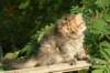 img_7394_small.jpg