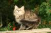 img_7395_small.jpg