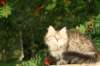 img_7397_small.jpg