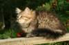 img_7399_small.jpg