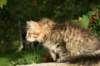 img_7400_small.jpg