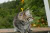 img_6979_small.jpg