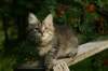 img_7376_small.jpg