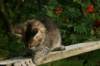 img_7378_small.jpg
