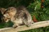 img_7388_small.jpg